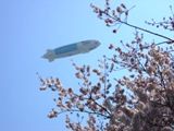 上野公園と偶然飛来した飛行船。05.04.05