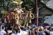 須賀祭りの平塚三嶋神社の特大神輿。'11.07.17.
